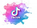   مصر اليوم - نصائح لتحصل على علامة التحقق الزرقاء على TikTok