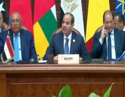   مصر اليوم - رئيس كينيا يشيد بقيادة مصر لأعمال اللجنة التوجيهية لـالنيباد
