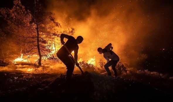   مصر اليوم - حرائق غابات في تشيلي تقتل 19 شخصا على الأقل