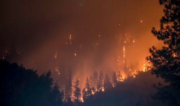   مصر اليوم - حرائق الغابات تجتاح الساحل الغربي الأميركي وإيطاليا واليونان