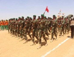   مصر اليوم - إكواس تقرع طبول الحرب ضد النيجر ومالي وبوركينافاسو يعارضان والجزائر تنتقد