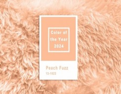   مصر اليوم - بانتون تختار الوردي البرتقالي لونًا للعام 2024 في الديكور