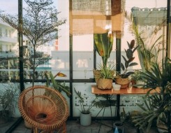  مصر اليوم - نصائح لاختيار النباتات المُناسبة لتجميل مداخل المنازل
