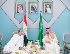   مصر اليوم - الرئيس السيسي يؤدي فريضة الحج ويُشيد بتنظيم السلطات السعودية والخدمات المقدَّمة لملايين الحجاج
