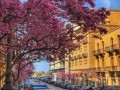   مصر اليوم - وجهات سياحية ساحرة تستحق الزيارة والاستكشاف خلال شهر يوليو هذا الصيف