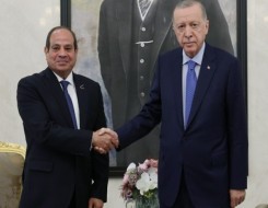   مصر اليوم - أردوغان يكشف تفاصيل مباحثاته مع السيسي في زيارته الأولى لتركيا