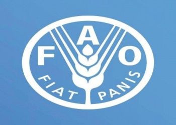   مصر اليوم - الفاو تؤكد أن تراجع أسعار السلع الغذائية الأساسية عالمياً مع ارتفاع محدود للحبوب
