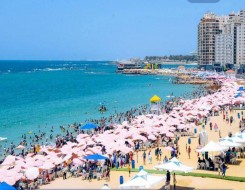   مصر اليوم - قبل فاجعة شاطئ الإسكندرية فيديو يكشف تحذيرات مسؤول للفتيات من مخاطر البحر