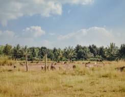   مصر اليوم - مغامرات لا تُنسى في قلب الطبيعة الإفريقية في كينيا الساحرة