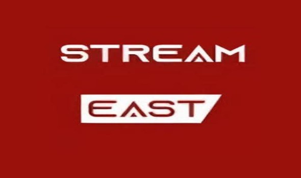   مصر اليوم - إغلاق أكبر منصة بث رياضي غير قانونية في العالم بالتعاون مع السلطات المصرية