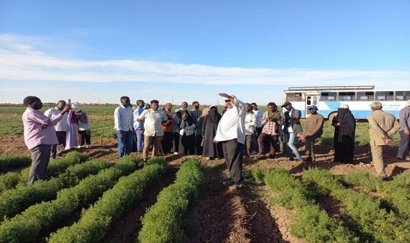   مصر اليوم - وزير الزراعة والري السوداني يؤكد أن بلاده تتعافى ولن تجوع في ظل مزارعي القضارف