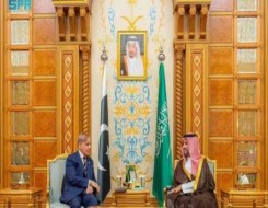   مصر اليوم - اتفاق سعودي - باكستاني على إطلاق إطار تعاون اقتصادي