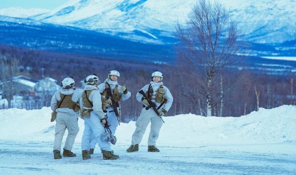   مصر اليوم - غرينلاند تدفع الناتو للتخطيط لمهمة جديدة لتعزيز الأمن