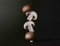   مصر اليوم - 8 فوائد صحية للمشروم لتعزيز المناعة وصحة القلب