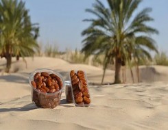   مصر اليوم - التمور الصحية في رمضان أهم أنواعها وطرق تناولها لمرضى السكري