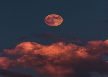   مصر اليوم - روسيا تدرس إنشاء محطة طاقة نووية على سطح القمر بقدرات أكبر