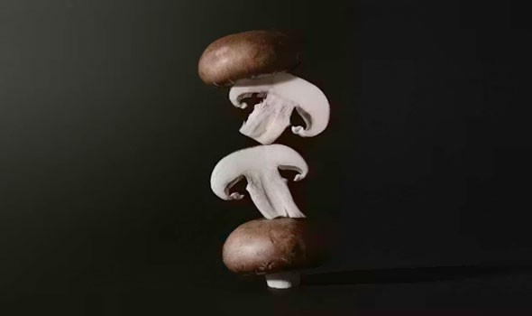   مصر اليوم - 8 فوائد صحية للمشروم لتعزيز المناعة وصحة القلب