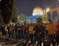   مصر اليوم - الأوقاف تدين إغلاق الاحتلال الإسرائيلي للمسجد الأقصى ومنع صلاة التراويح