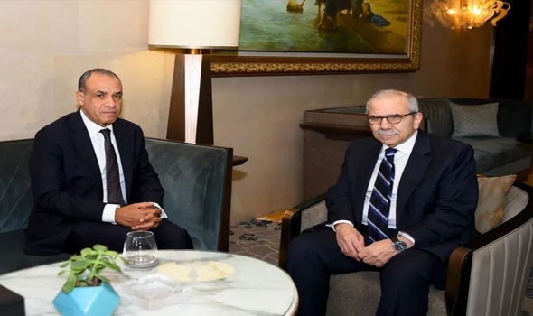   مصر اليوم - مصر تجدد رفضها للاعتداءات الإسرائيلية على لبنان وتدعو لوقف فوري للانتهاكات