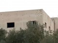   مصر اليوم - الأمن العام الأردني يقبض على منفذي هجوم كنيسة الكرك عقب اشتباك مسلح وسط مراجعات حكومية شاملة لمواجهة التطرف