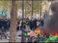 مصر اليوم - فرنسا تستعين بقوات عسكرية لتأمين احتجاجات السبت